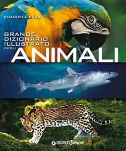 Copertina