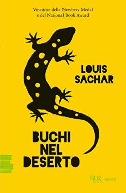 Copertina Buchi nel deserto