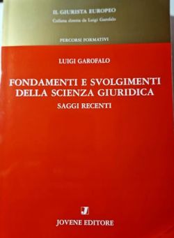 Copertina Fondamenti e svolgimenti della scienza giuridica. Saggi recenti