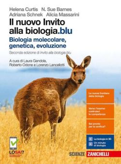 Copertina