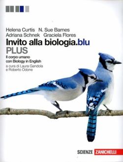 Copertina