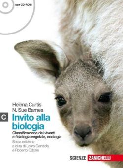 Copertina