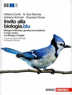 Copertina