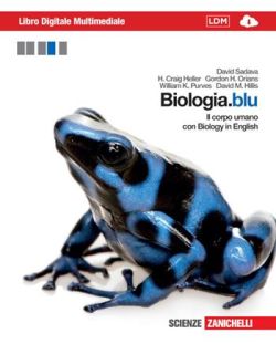 Copertina