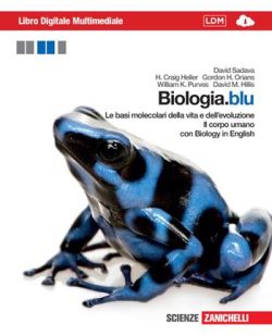 Copertina