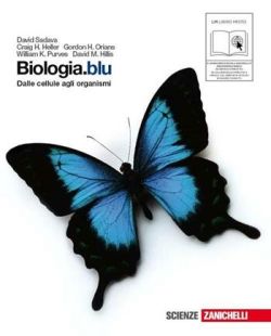 Copertina