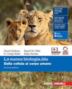 Copertina