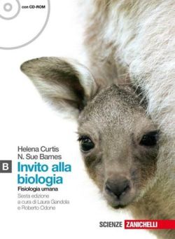 Copertina