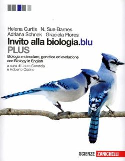 Copertina