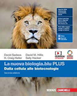 Copertina