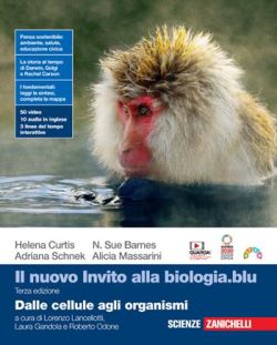 Copertina