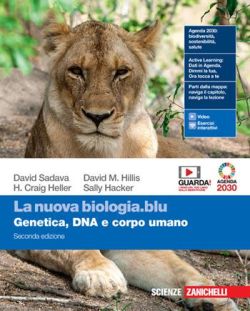 Copertina