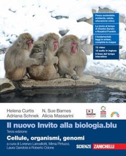 Copertina