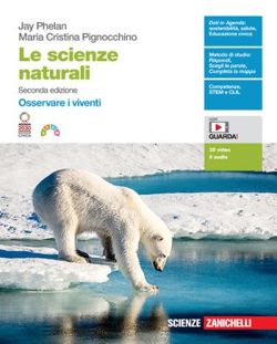 Copertina