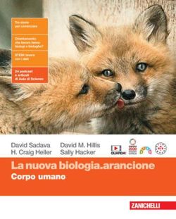 Copertina