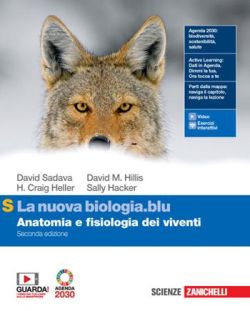 Copertina