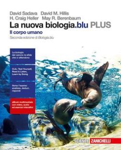 Copertina