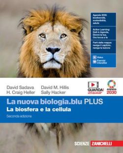 Copertina