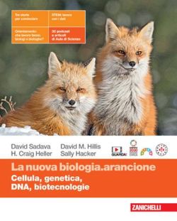 Copertina