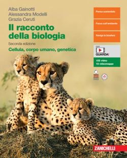 Copertina