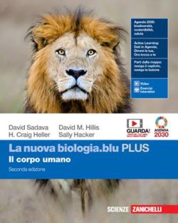 Copertina