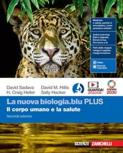 Copertina