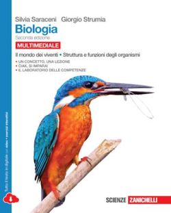 Copertina