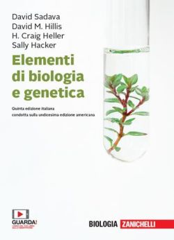 Copertina