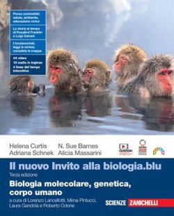 Copertina