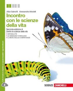 Copertina