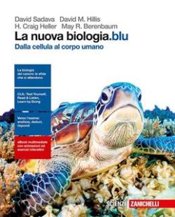 Copertina