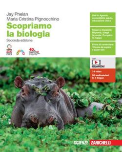 Copertina