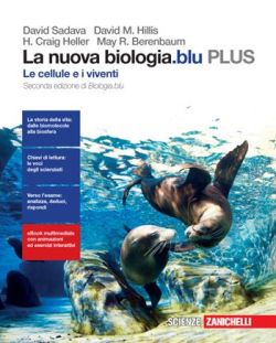 Copertina