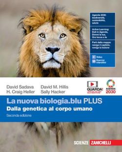 Copertina