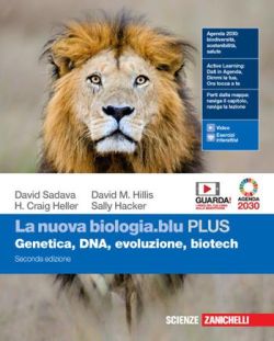 Copertina