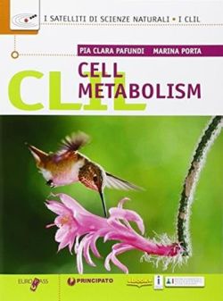 Copertina