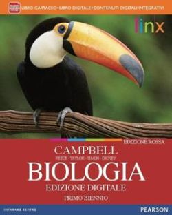 Copertina