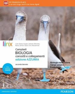 Copertina