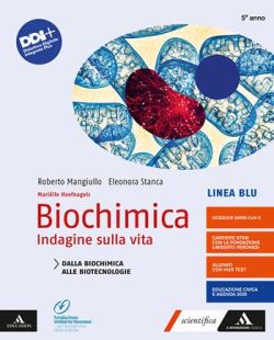 Copertina