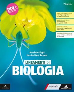 Copertina