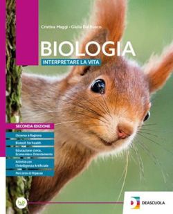 Copertina